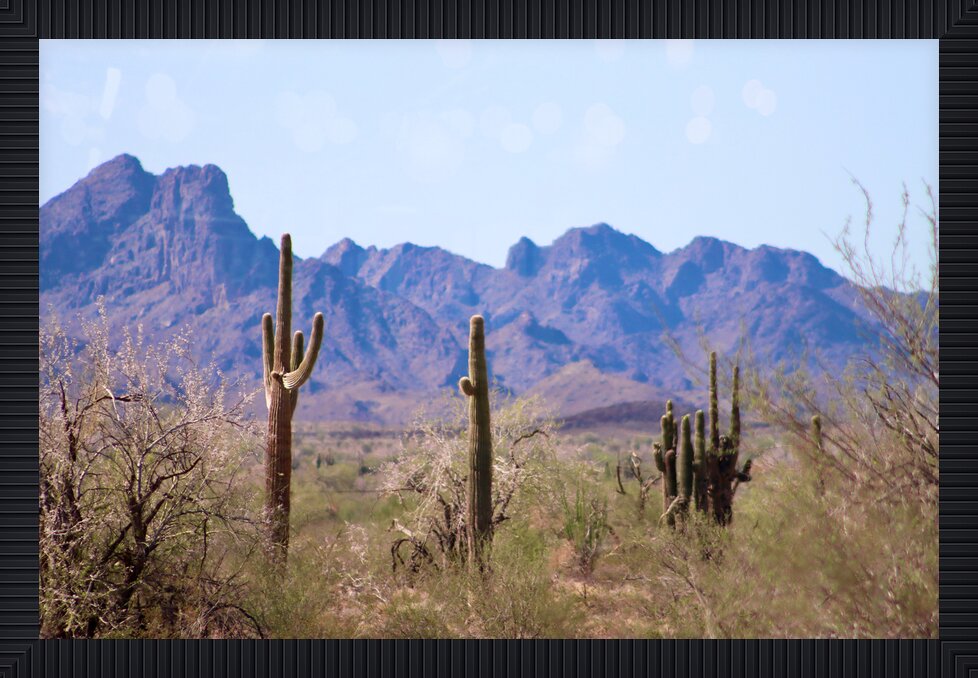 Impression de cadre personnalisé