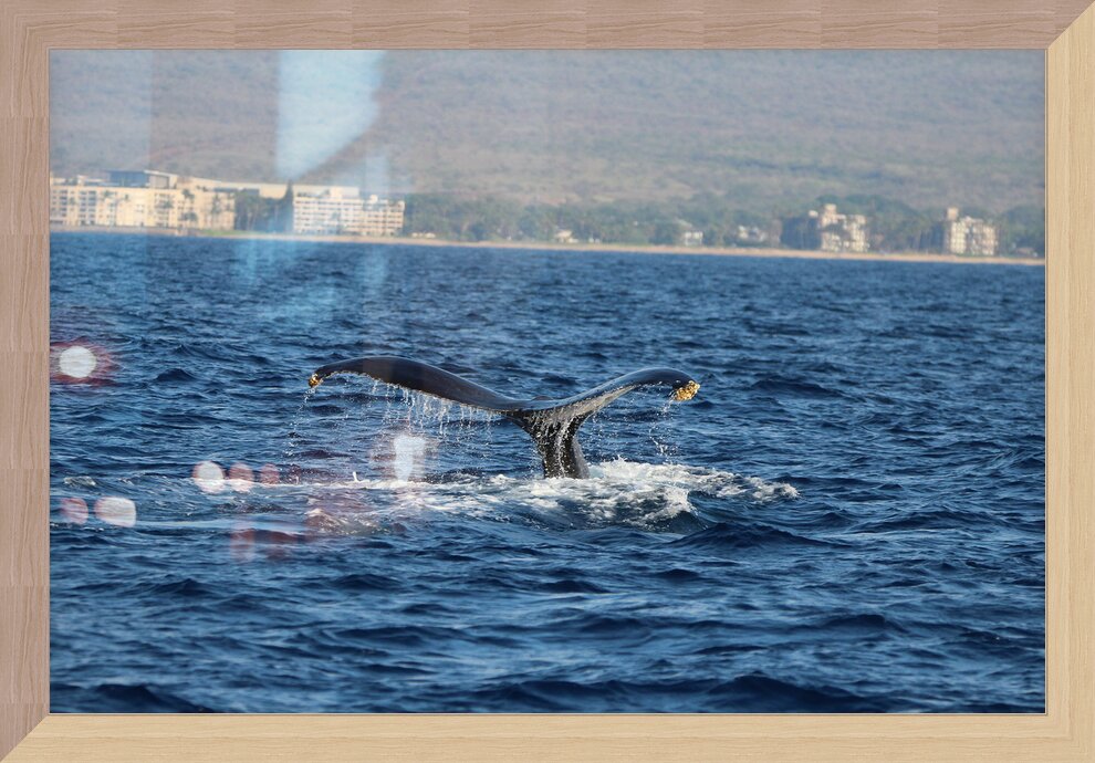 Impression de cadre personnalisé