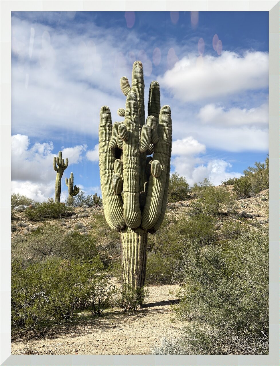 Impression de cadre personnalisé
