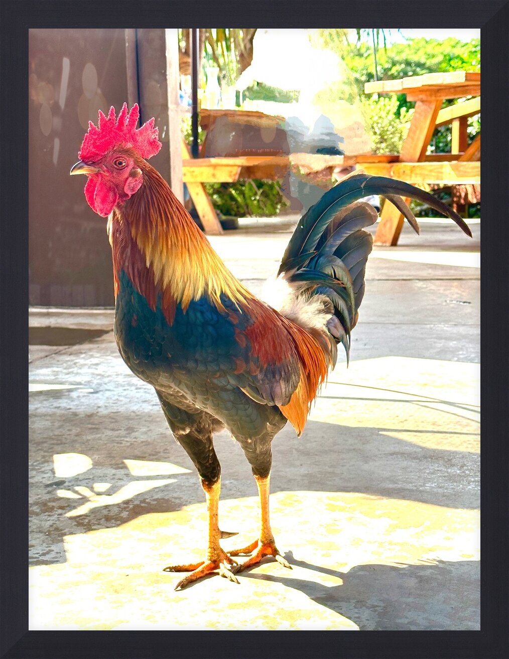 Impression de cadre personnalisé