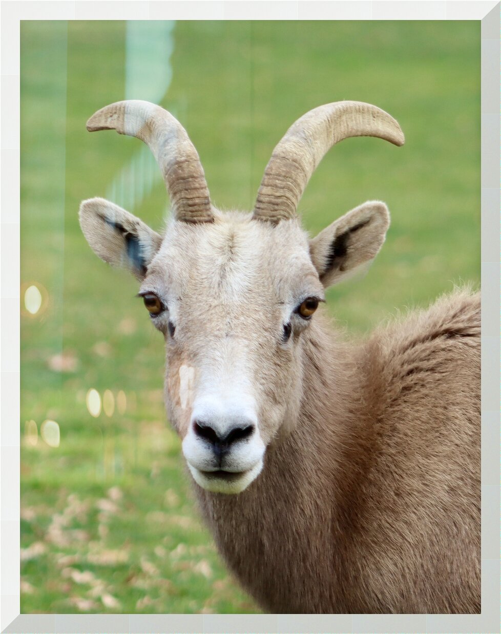 Impression de cadre personnalisé