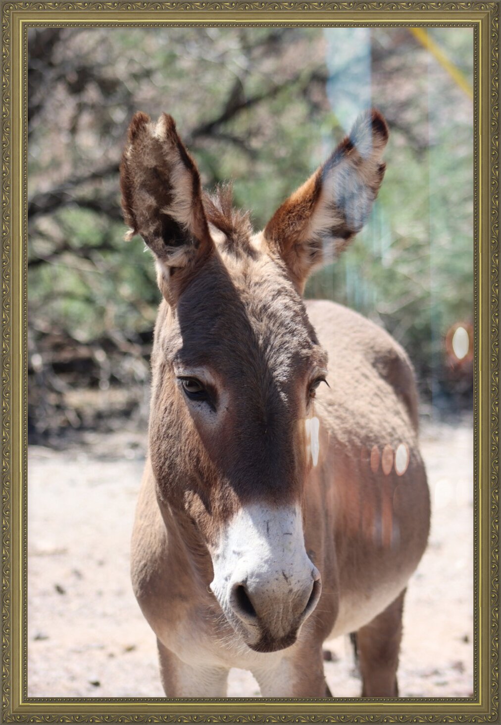 Impression de cadre personnalisé