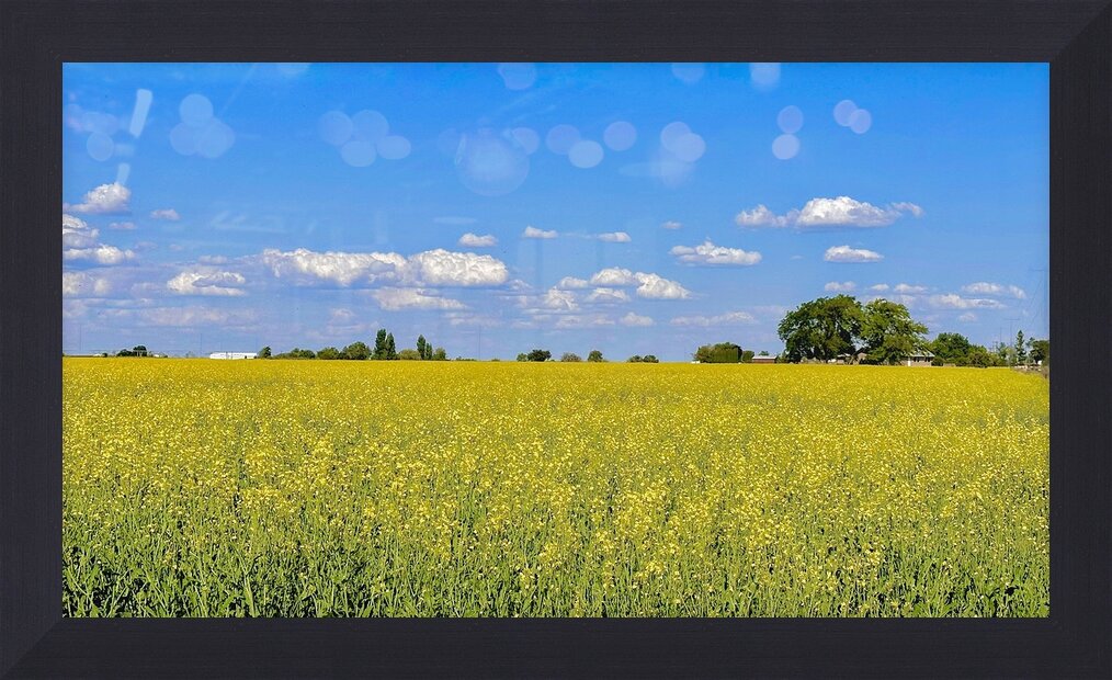 Impression de cadre personnalisé