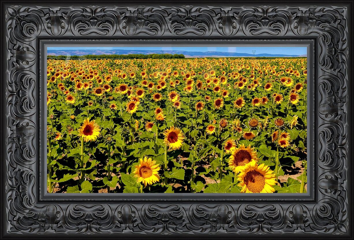 Impression de cadre personnalisé