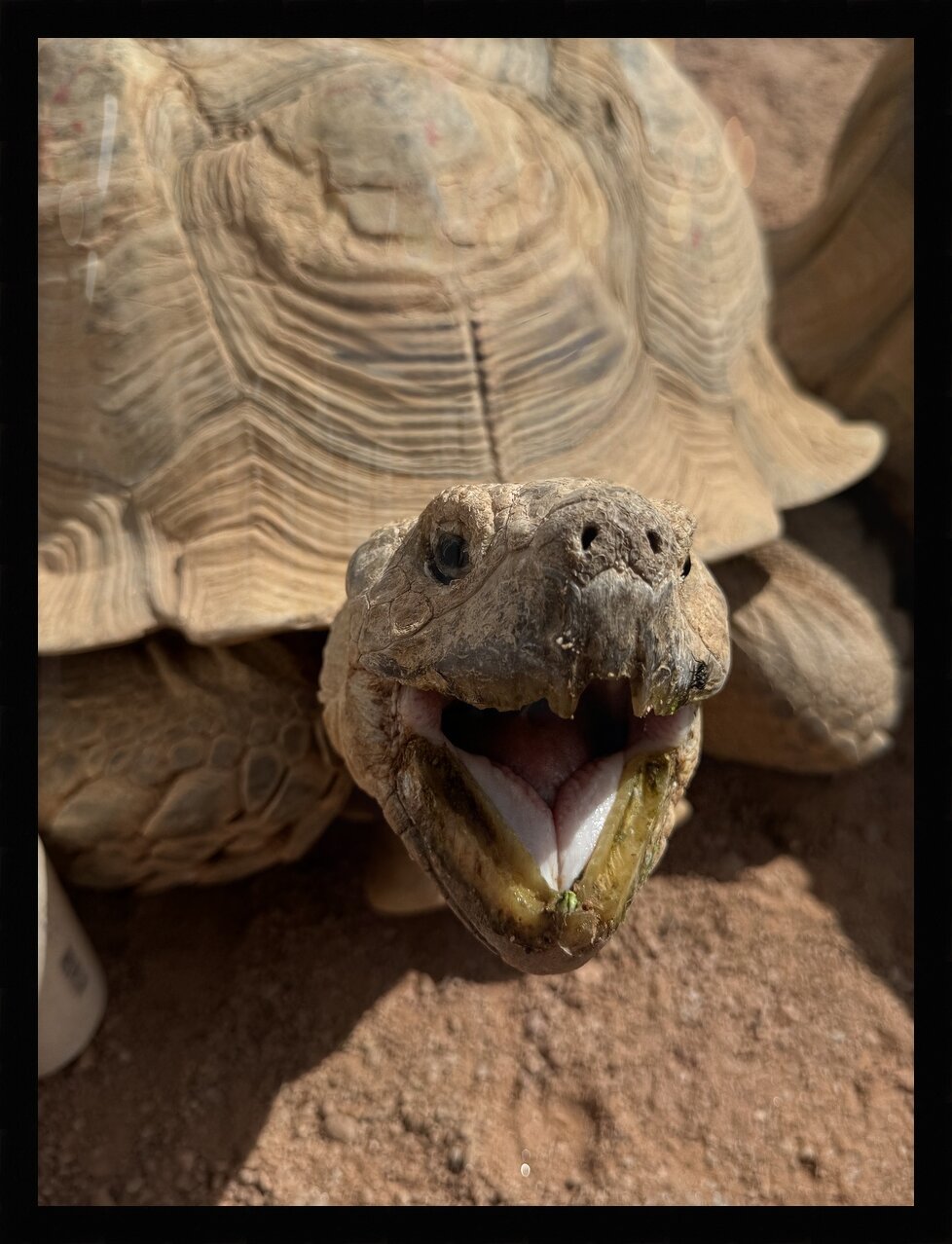 Impression de cadre personnalisé