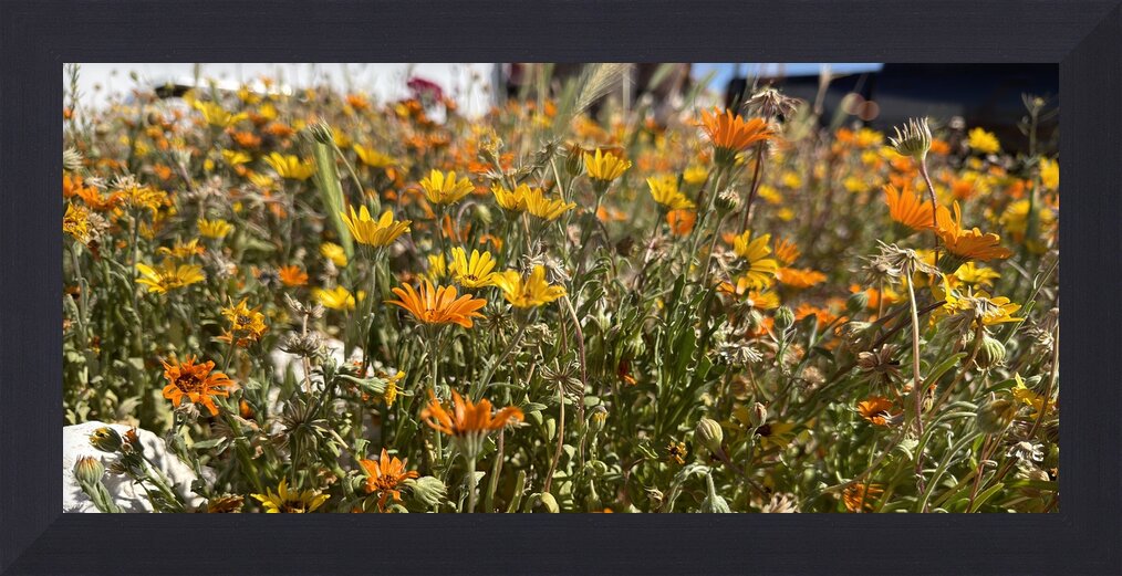 Impression de cadre personnalisé