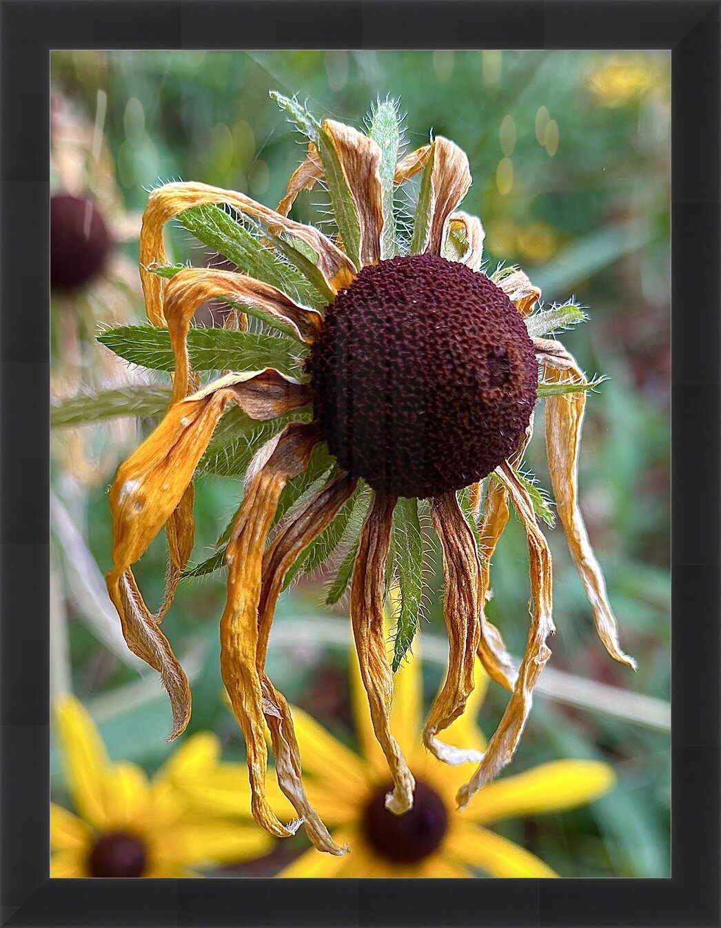 Impression de cadre personnalisé