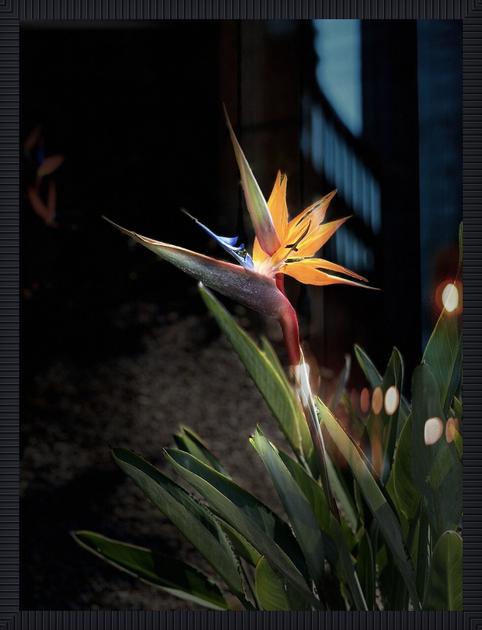 Impression de cadre personnalisé