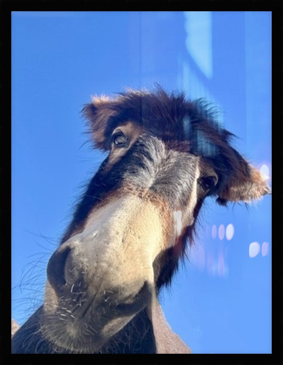 Impression de cadre personnalisé