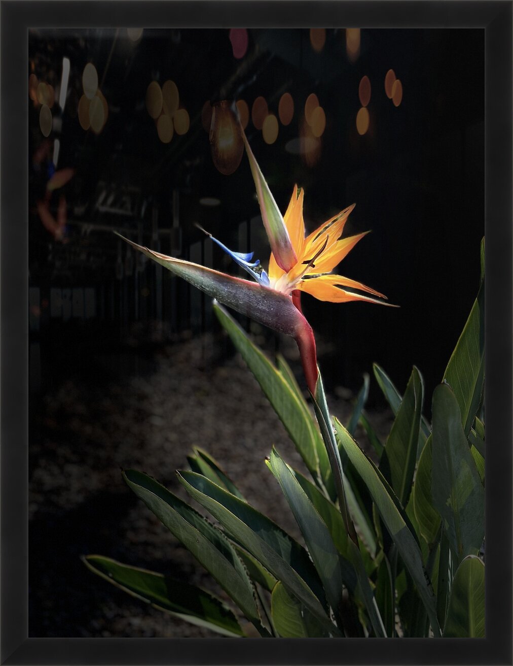 Impression de cadre personnalisé