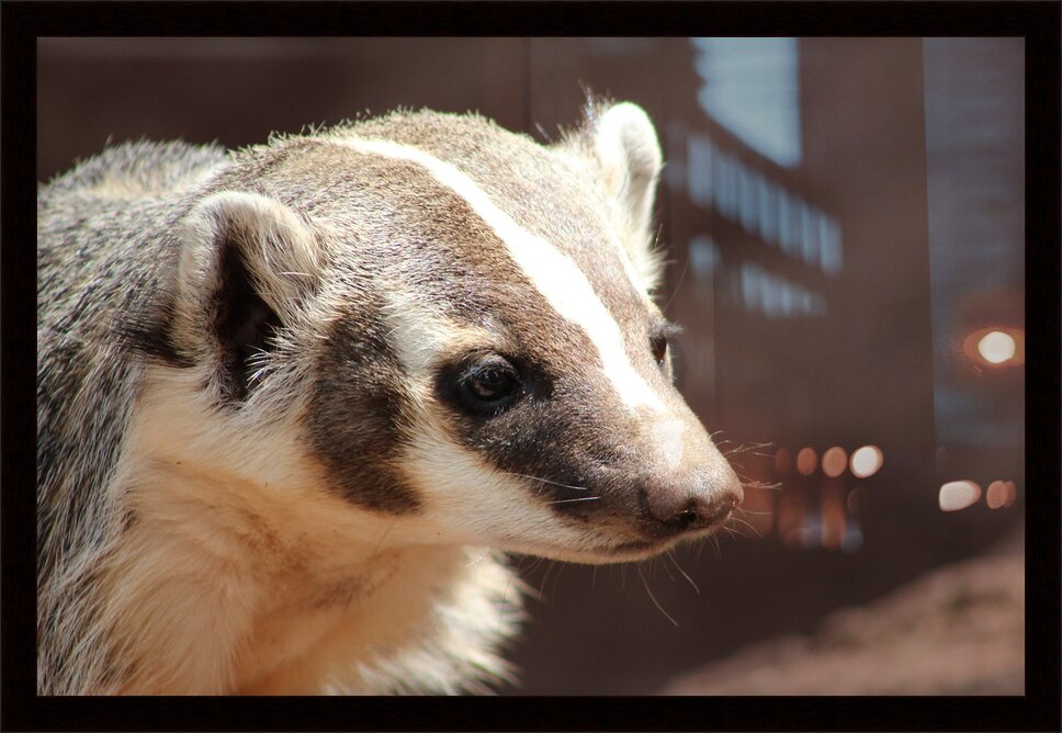 Impression de cadre personnalisé