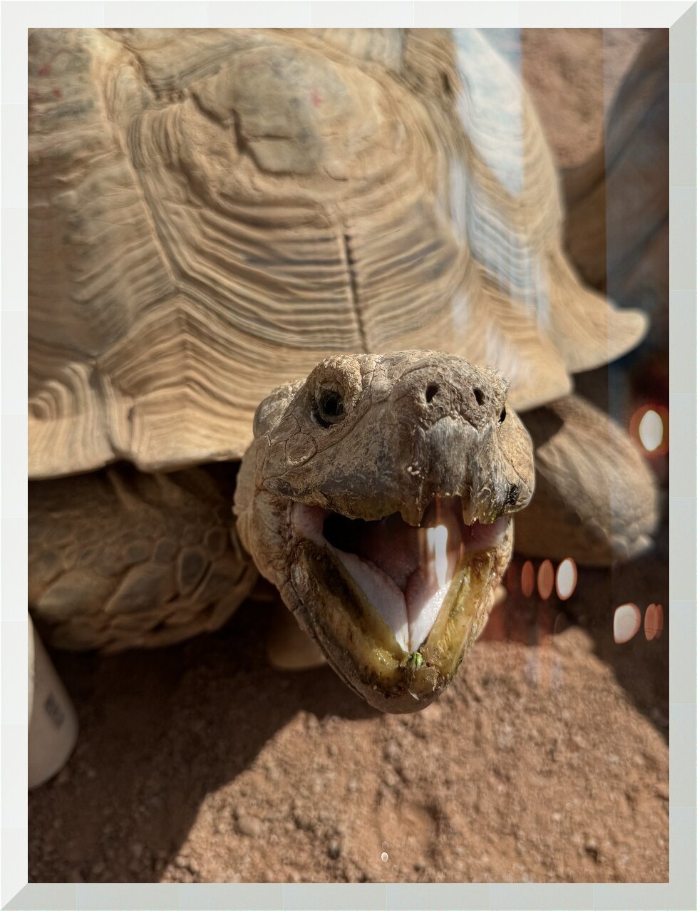 Impression de cadre personnalisé