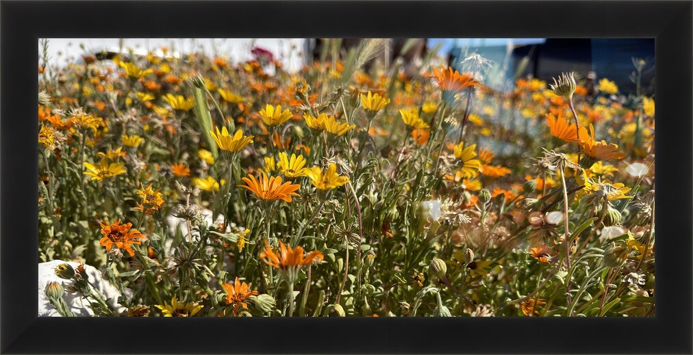 Impression de cadre personnalisé