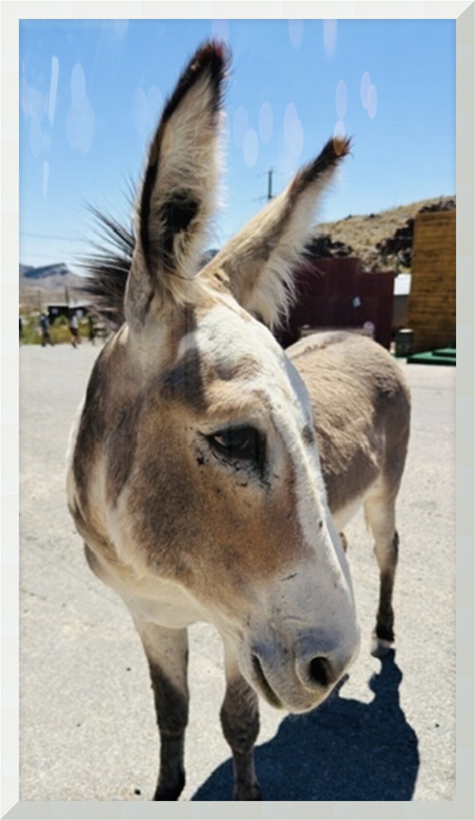 Impression de cadre personnalisé