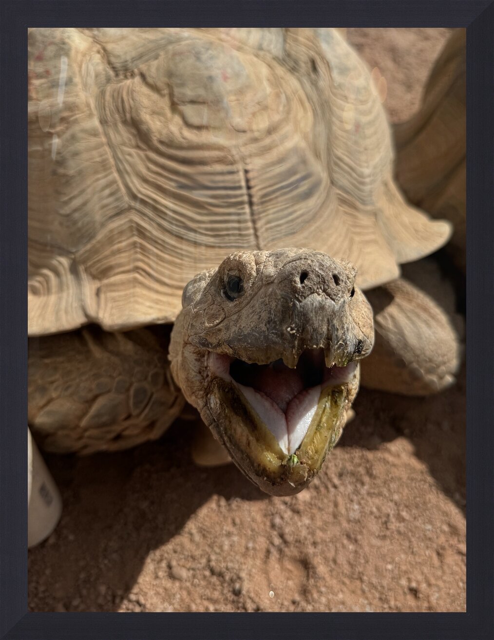 Impression de cadre personnalisé