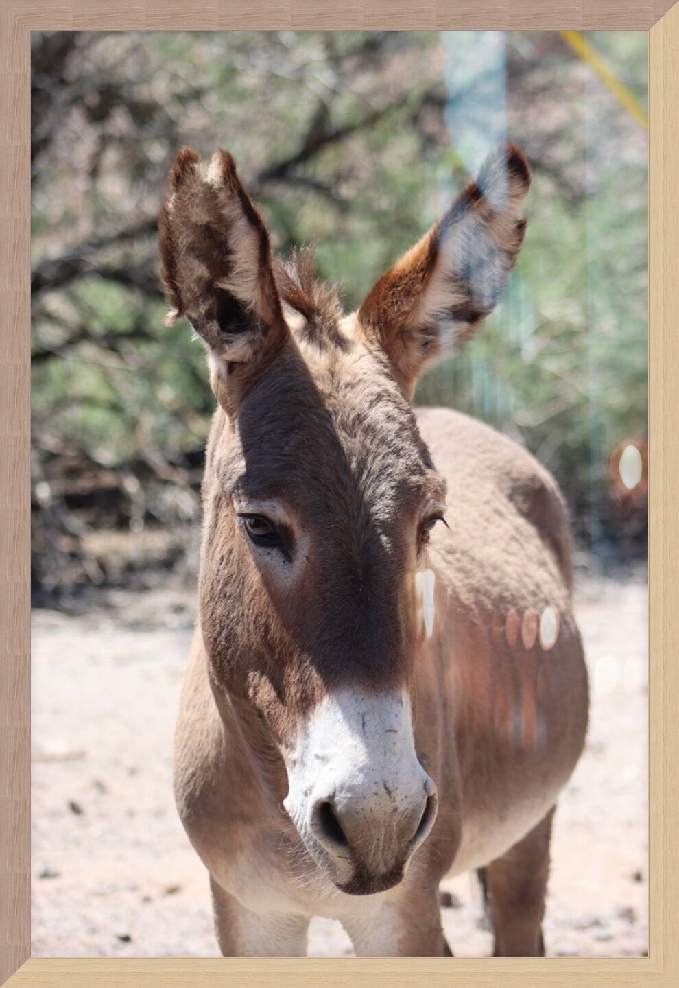 Impression de cadre personnalisé