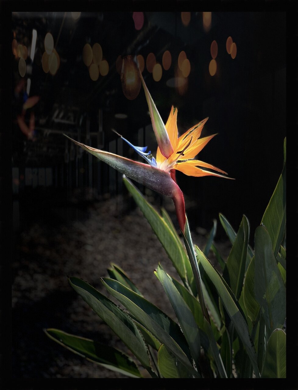 Impression de cadre personnalisé