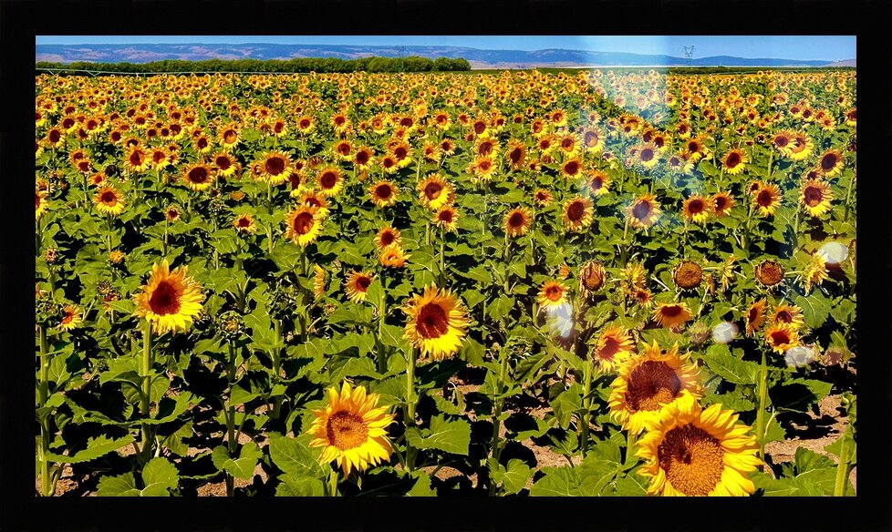 Impression de cadre personnalisé