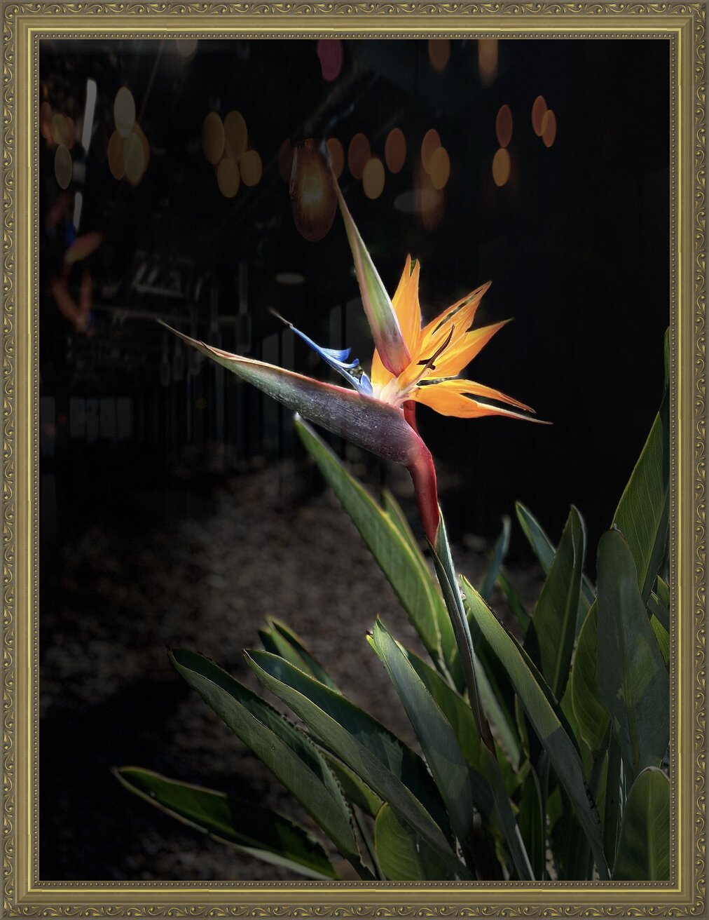 Impression de cadre personnalisé