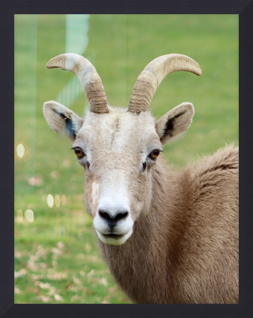 Impression de cadre personnalisé