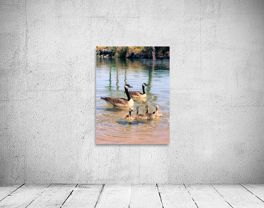 Little ripples big love  Wall Preview