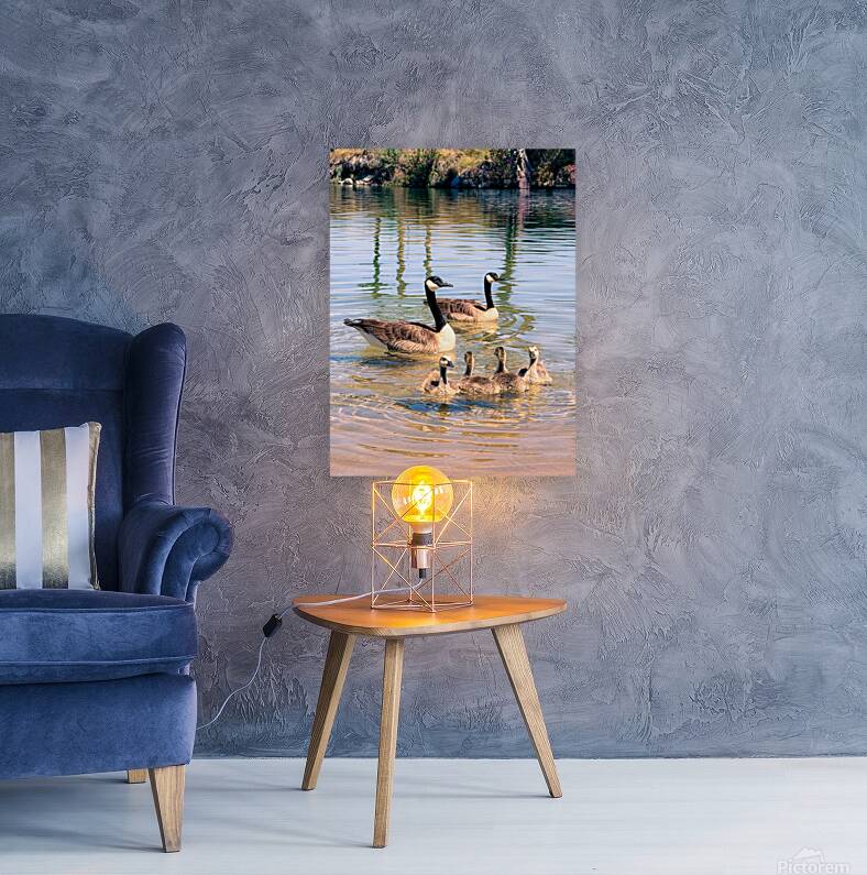 Little ripples big love  Reproduction