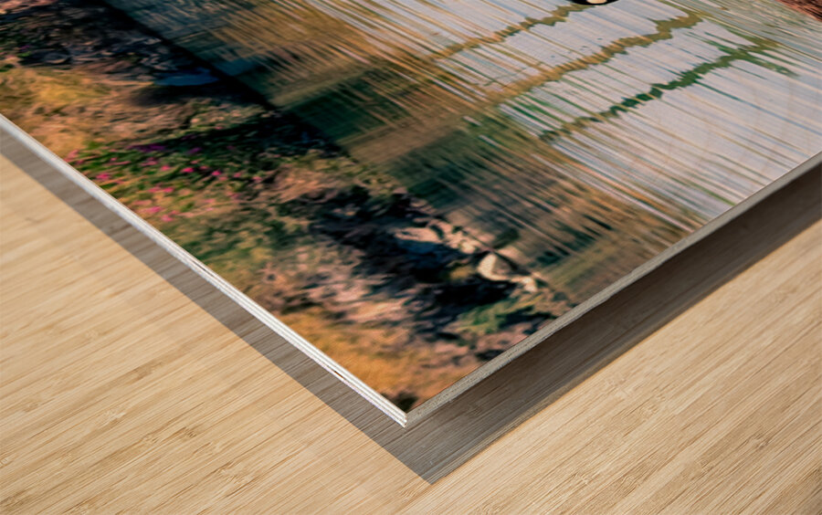 Little ripples big love  Wood print